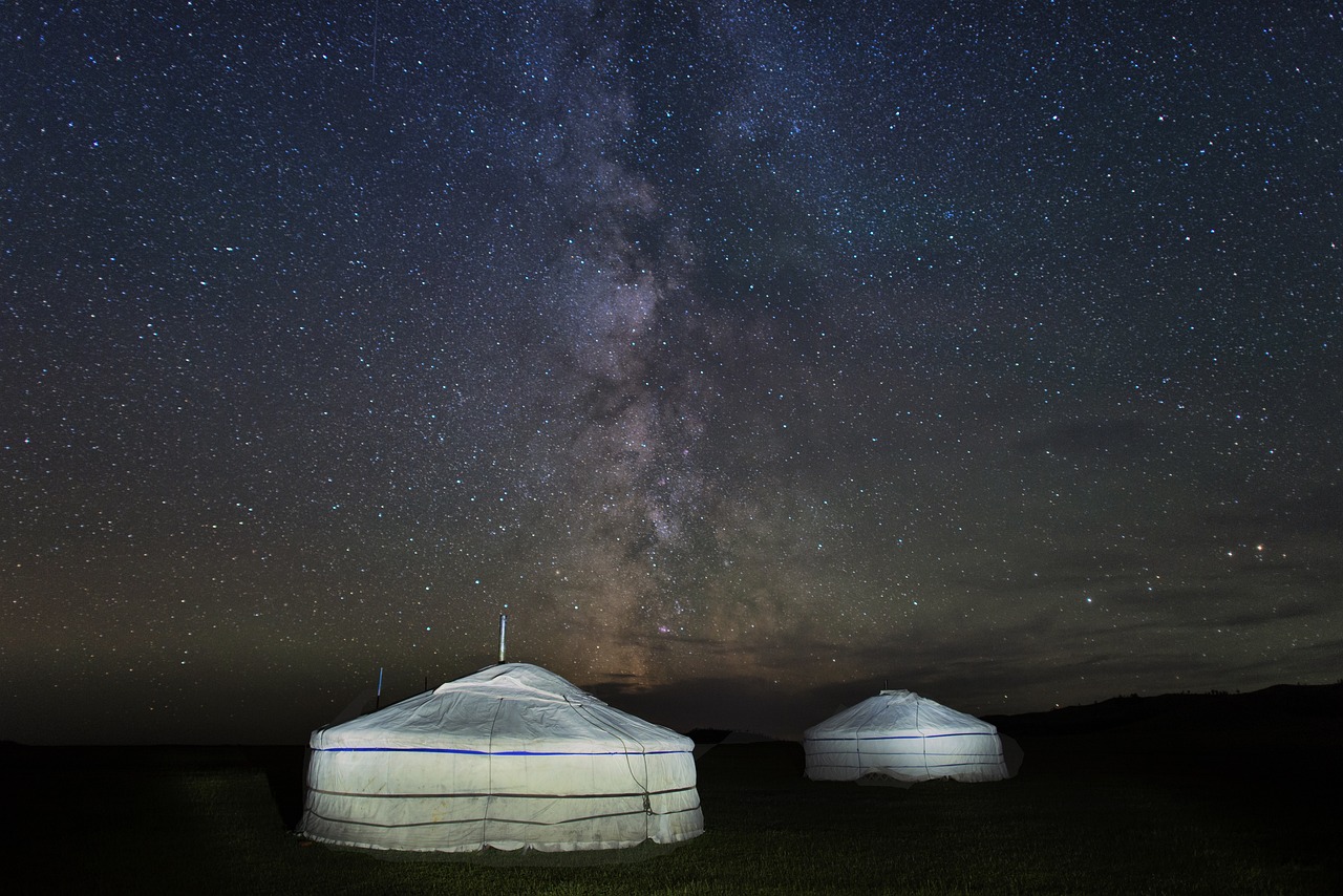 Voyage en Mongolie