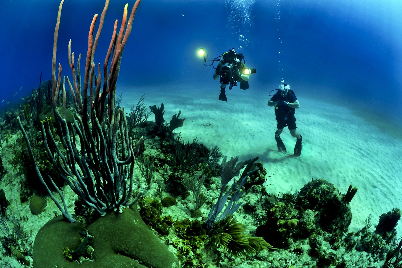 Les meilleures destinations de plongée sous-marine en Thaïlande