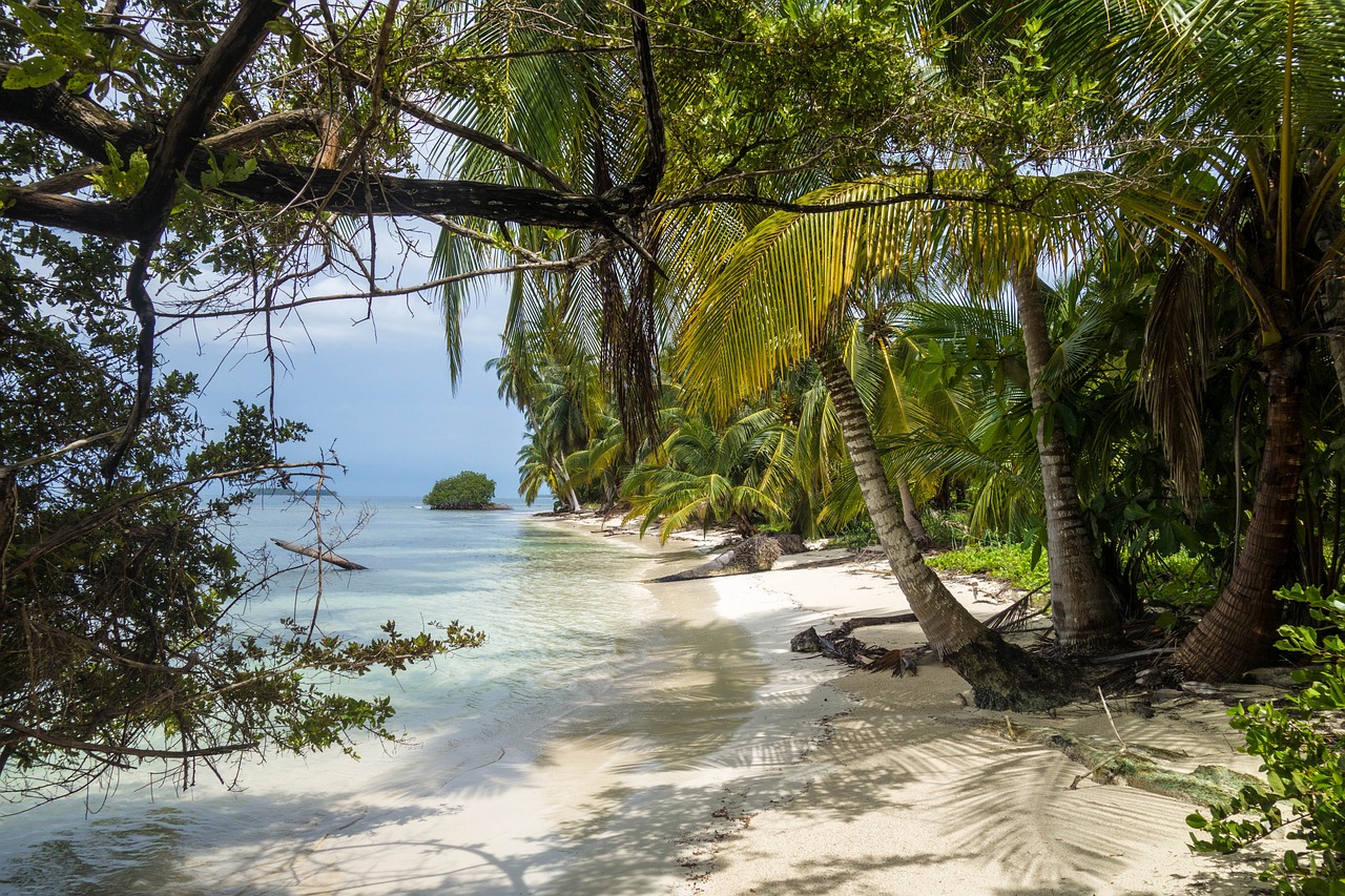 Les plages idylliques des Caraïbes  Un incontournable à visiter