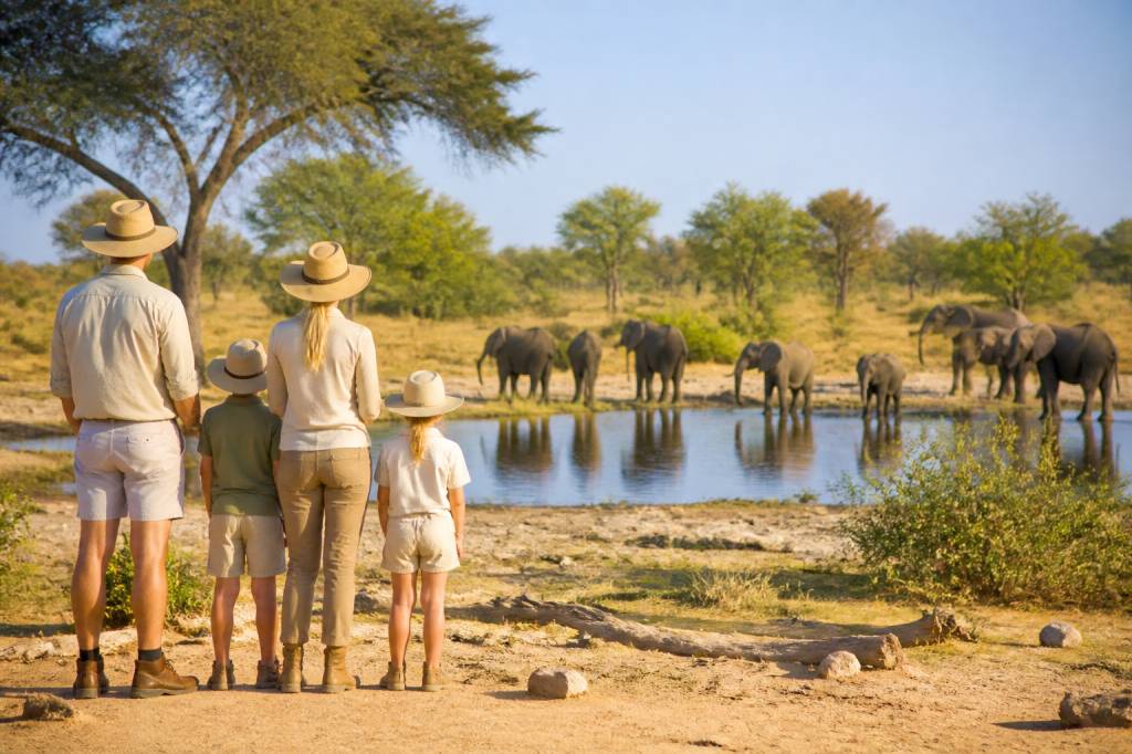 Organiser un safari botswana famille sans stress